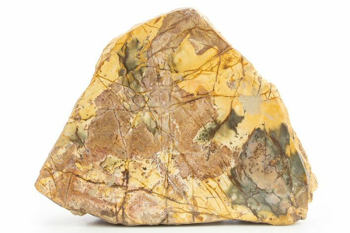 Polished Cherry Creek Jasper - China #318953